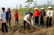 “Vàng trắng” nơi đất gió